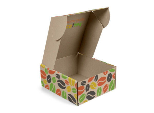 Self-Erect Carton